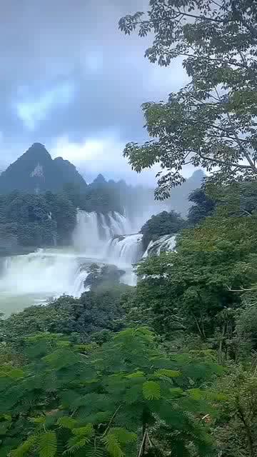 吸血鬼